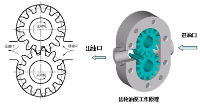 齒輪泵結(jié)構(gòu)原理圖