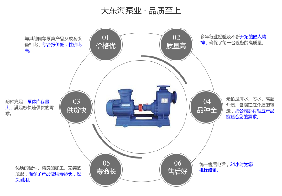 大東海泵業(yè)自吸式排污泵質量保證圖