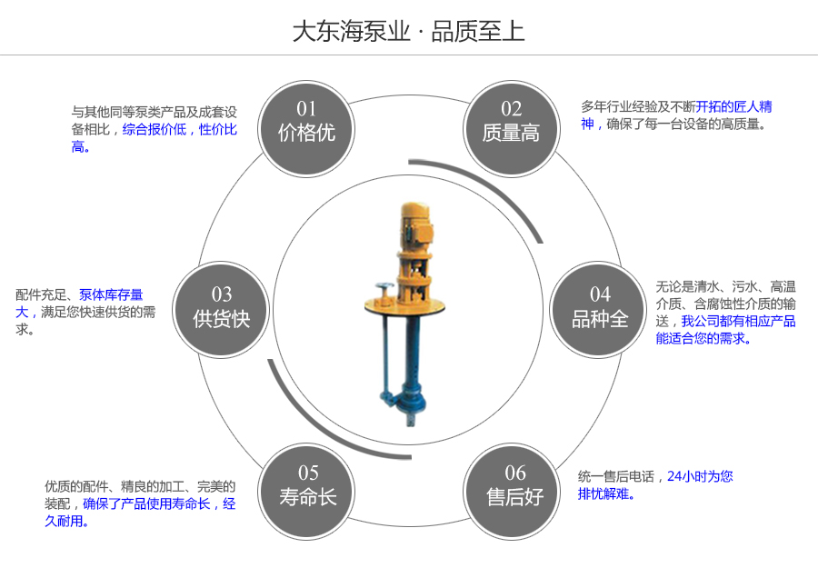 大東海泵業(yè)耐腐蝕液下泵質(zhì)量保證圖