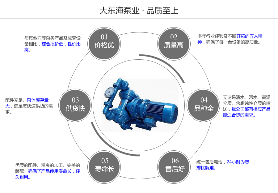 大東海泵業(yè)DBY型電動隔膜泵質(zhì)量保證圖